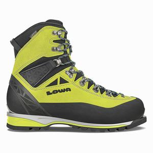 Lowa Alpine Expert GTX - Fjellsko (Herre) - ZX9326174